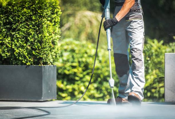Best Roof Washing  in Lakeview Estates, GA